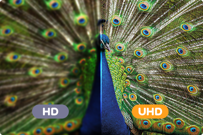 Une qualité d'image et sonore incroyable avec FRANSAT